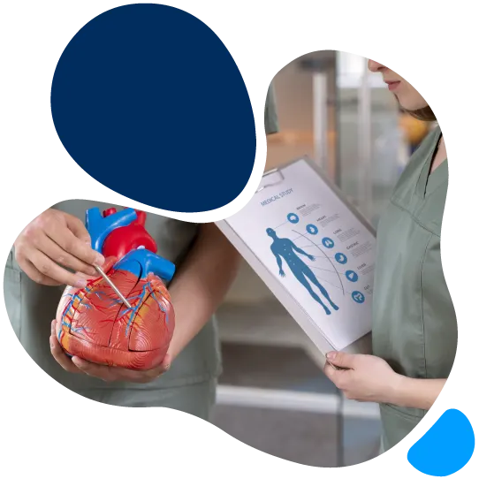 CARDIOLOGY MEDICAL BILLING image